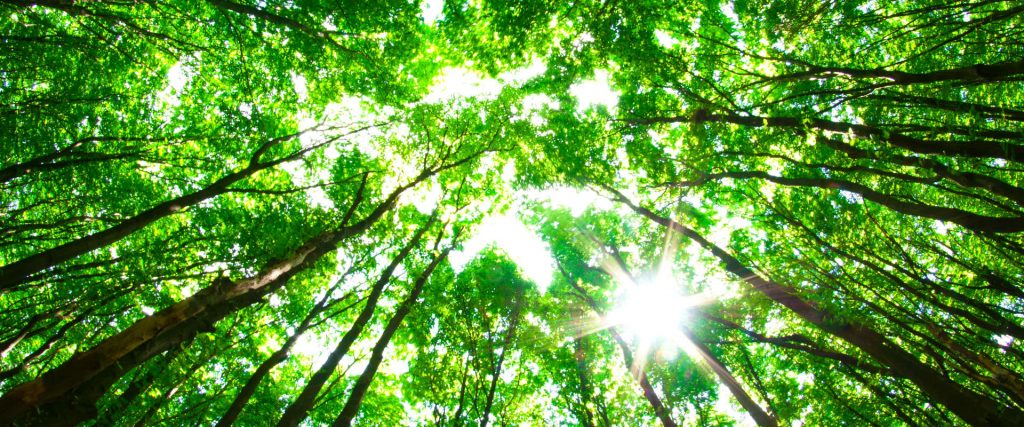 London psychotherapy training image